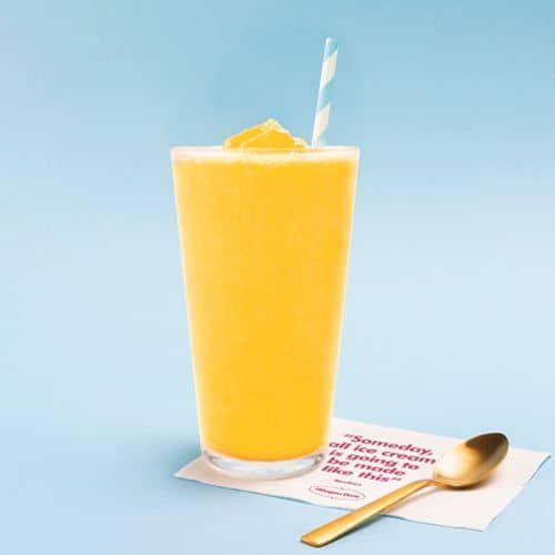 Sorbet Shakes